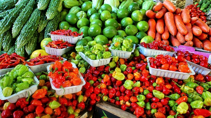 primeur-OLLIOULES-min_farmers-market-1329008